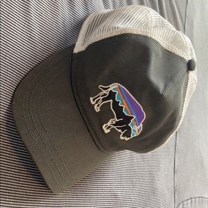 Grey Patagonia Cap